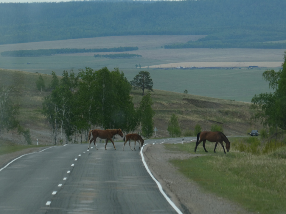 On the way to Olkhon Island – Lake Baïkal