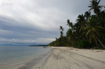 South Cebu Bike Trip – Siquijor