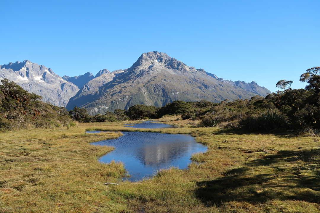 Cascade Creek to Milford Sound – Part 1: Key Summit