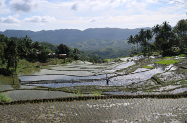 South Cebu Bike Trip – Mantalongon back to Cebu