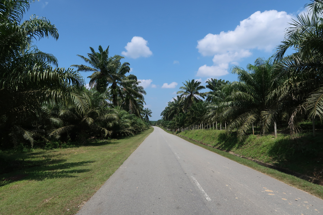 Malaysia Bike Trip – From Kuala Lumpur to Cameron Highlands