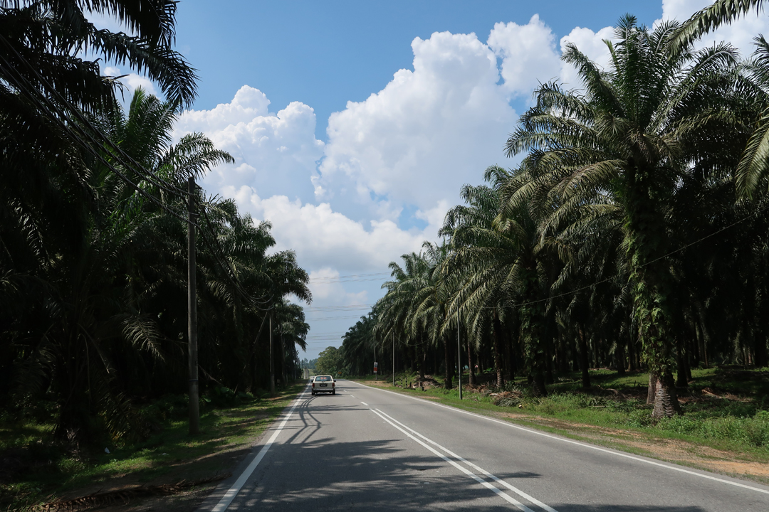 Malaysia Bike Trip – Taiping to Kuala Selangor and back to Kuala Lumpur