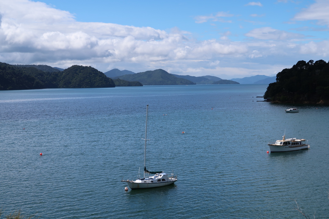 Alfred Stream Reserve to Picton