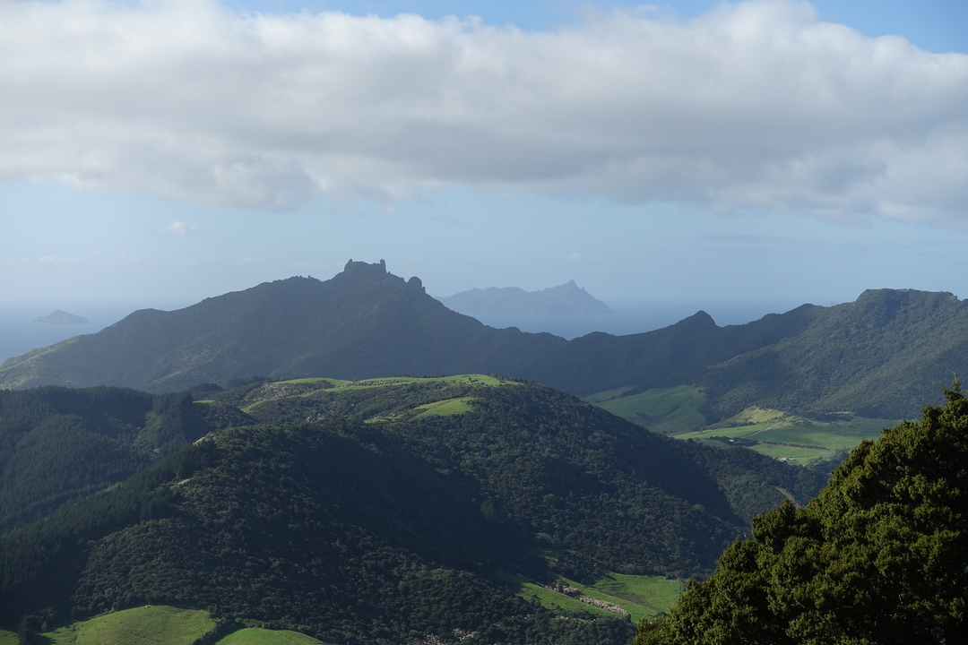 Parua Bay to Puriri Bay