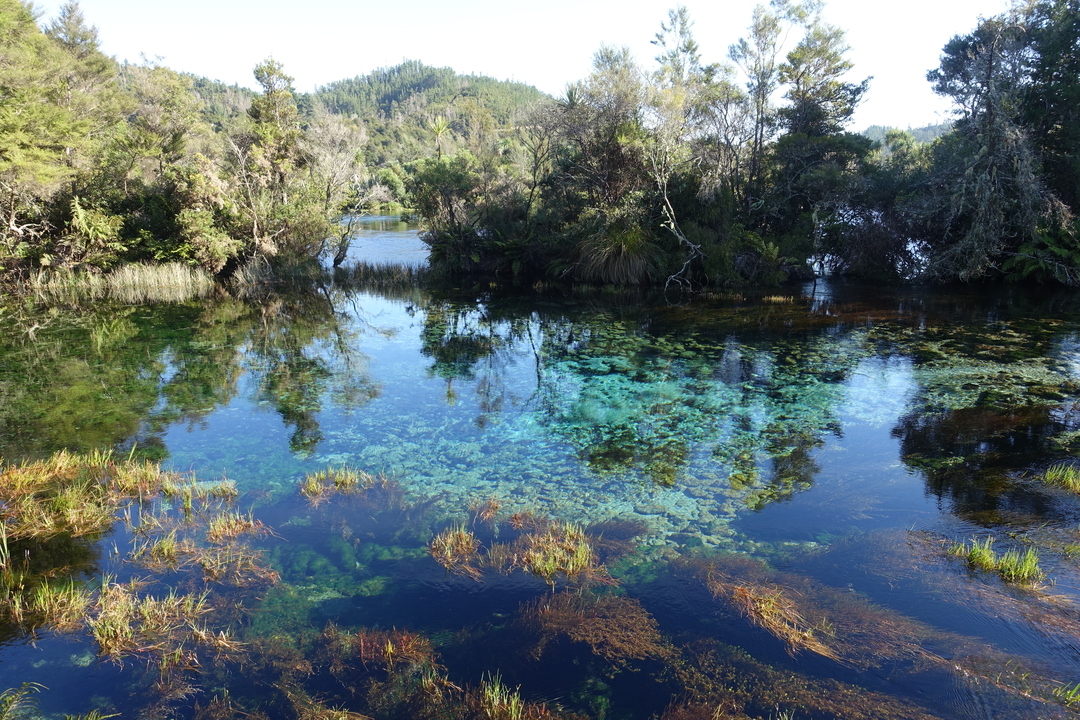 Puponga to Cable Bay