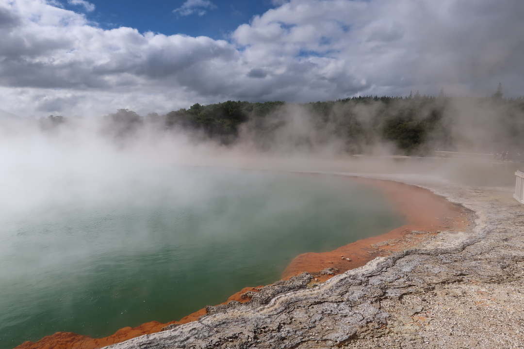 Tongariro to Rotorua