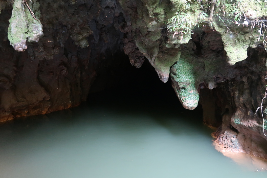 Waitomo Caves to Lake Taupo