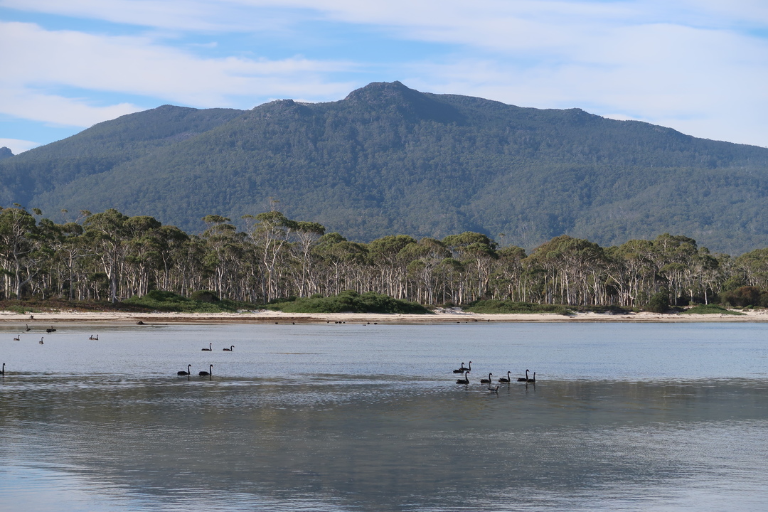 Maria Island