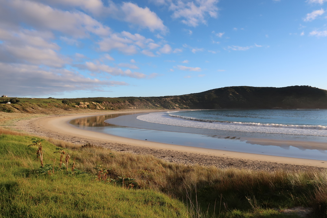 Puriri Bay to Maitai Bay