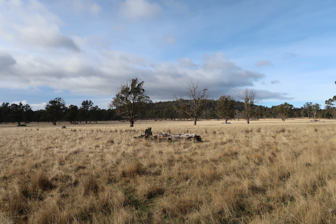 Central Tasmania Round Trip