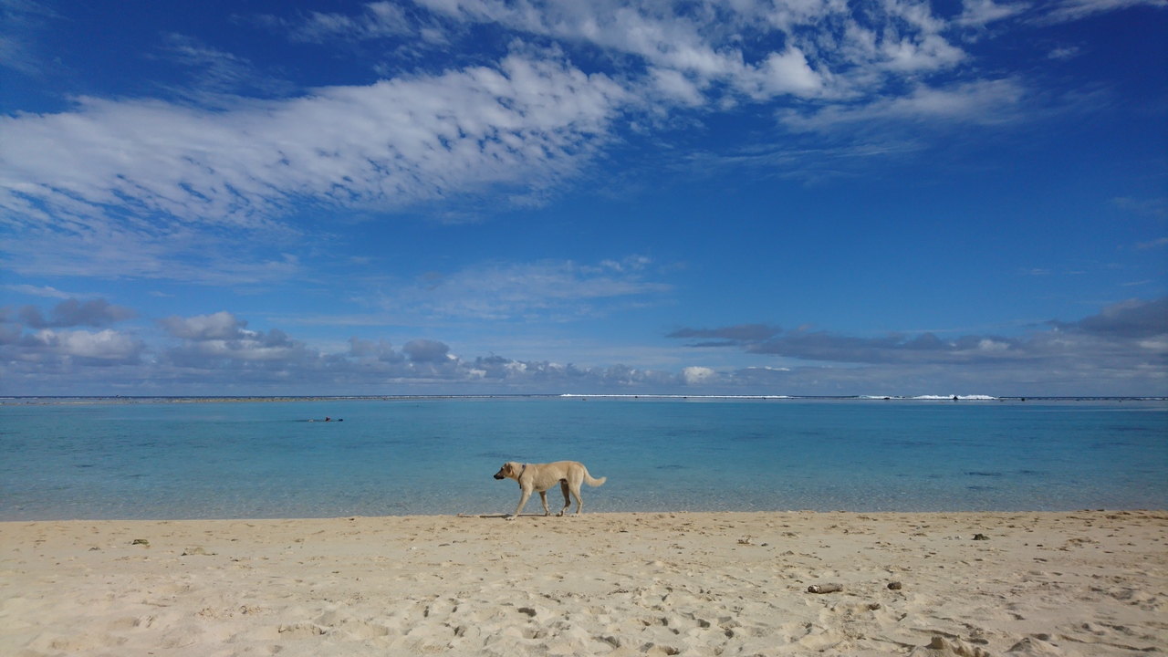 Back in Rarotonga