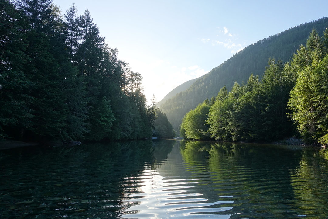 Cathedral Grove, Tofino and a nice evening near Taylor River