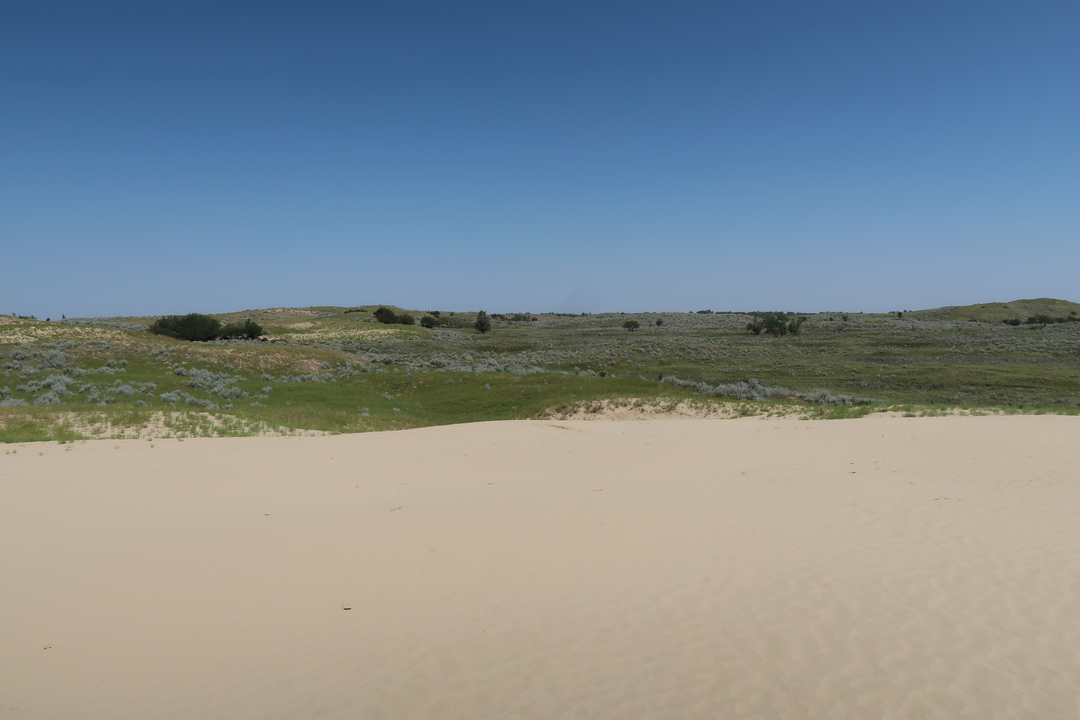 Cypress Hills to Buffalo Pound