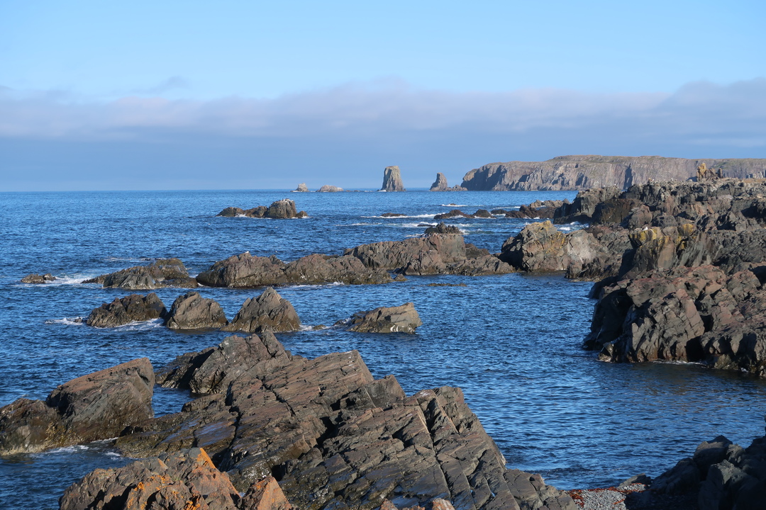 Cape Spear to Cape Bonavista